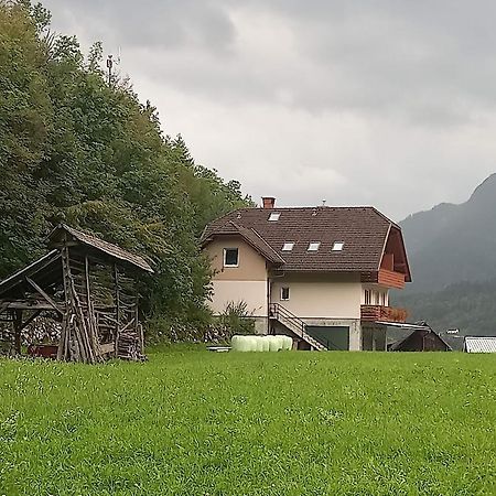 Apartments Dominika Bohinjska Bela Dış mekan fotoğraf